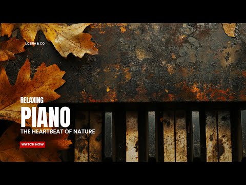 🎼 Relaxing Piano Music | 2 Hours of Calming Ambient Piano Music | Relax, Study, Work | Sleep Aid 🎹✨