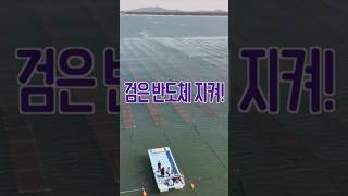 검은 반도체 절대 지켜! #개봉법두 #통과법령 #법제처