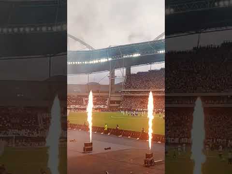 É CAMPEÃO 2024: Sou BOTAFOGO!! 🖤🔥🏆🏆🤍🌟