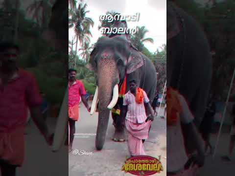 pothozhikav pooram#shorts#elephant