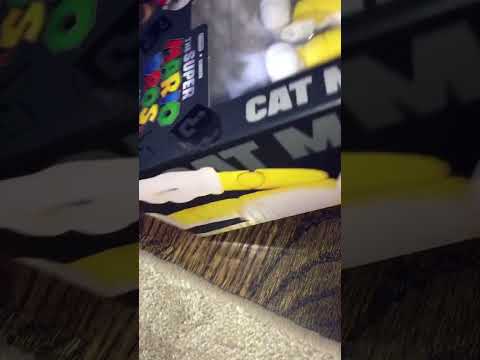 Unboxing cat Mario