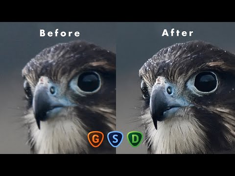 How Topaz AI Can SAVE Your Shots!