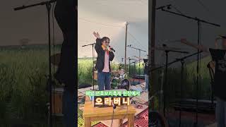 2025 해남 연호보리축제#금잔디#오라버니#해남악단#해남음악사랑