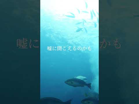 オリジナル曲『本当だよ』 6月28日00:00にリリース決定！！！ #歌詞動画 #ナツノセ