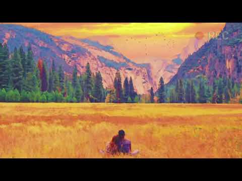 sunny meadows - summer lofi x chill piano lofi hiphop (study, sleep, relax, work, vibe)