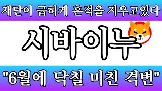 [시바이누코인 전망]재단이 급하게 흔적을 지우고 있다 "6월에 닥칠 미친 격변" #시바이누대응 #shibnews #코인시황