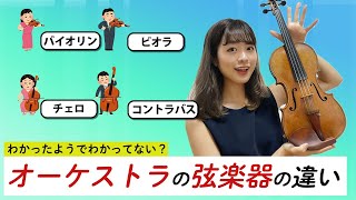【意外とわかっていない？】オーケストラの弦楽器の違い！