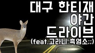 대구 한티재 오토바이 밤바리 스쿠터 드라이브 g딩크 300 | 더스트빈TV