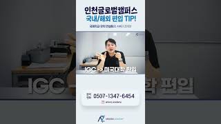 [IGC 인천글로벌캠퍼스] IGC에서 국내/해외 대학으로 편입을 생각한다면? 꿀팁 알고가세요🥰 #인천글로벌캠퍼스