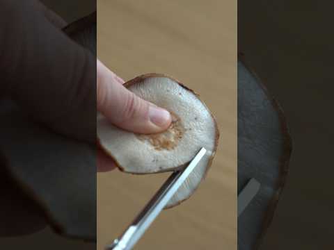 Promise! From today onwards, you must cut mushrooms like this.