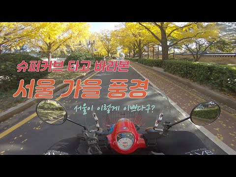 슈퍼커브 타고 바라본 서울의 가을 풍경 / 단풍 / 서울 구경 / 서울 단풍 명소 / supercub / seoul drive /