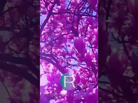 🟣 30 Seconds of Serenity: Tranquil Nature Escape 🍃 #NatureShorts #shorts #relaxandbreathe
