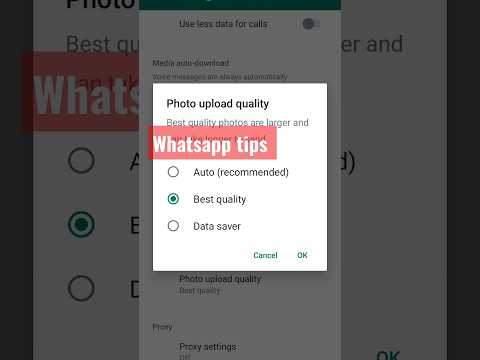 Whatsapp tips |Whatsapp tips and tricks #ticket #tips