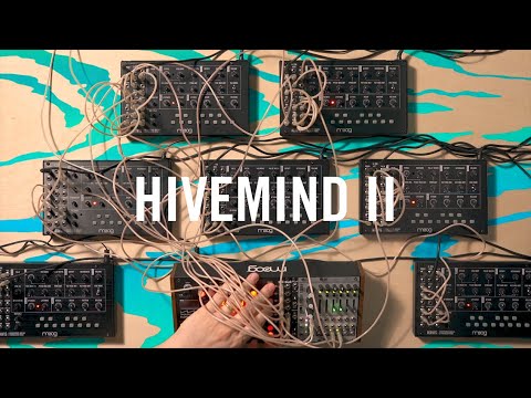 Moog Mavis | Hivemind II