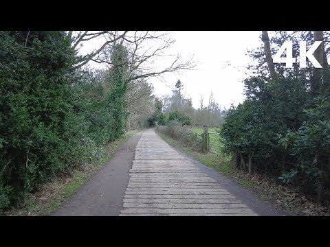 The strong winds shake up nature (Nature Visualizer)