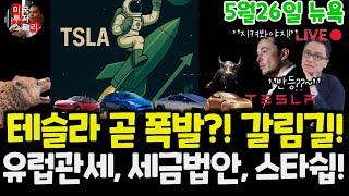 테슬라 곧 폭발?! 갈림길에서서 중간점검, 기관 공매도 흐름, 목표주가, 판매현황, 무역전쟁, 트럼프 관세, 세금법안, 스타쉽 9차 테스트, 일론 머스크 $tsla #tesla