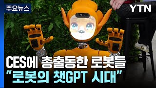 감성 로봇부터 집사 로봇까지...CES 총출동 / YTN