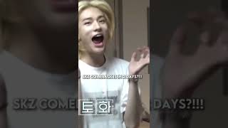 stray kids comeback #straykids #straykidsfunnymoments #stays #comeback #felix