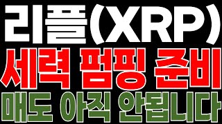 [리플코인] "세력"이 급변하고 있습니다.. "이 시점" 필수 시청..! 아직 매도 안됩니다💥