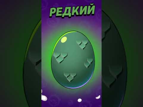 1 мая 2024 г.