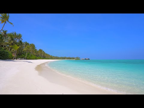 Turquoise Waves 🏝 Best Ocean Sounds for Rest, Relaxation and Sleep