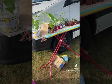 Ashley Heath Car Boot - Plant Sale #gardening #carboot