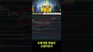 리플 매도가 정확한 타점 !!
