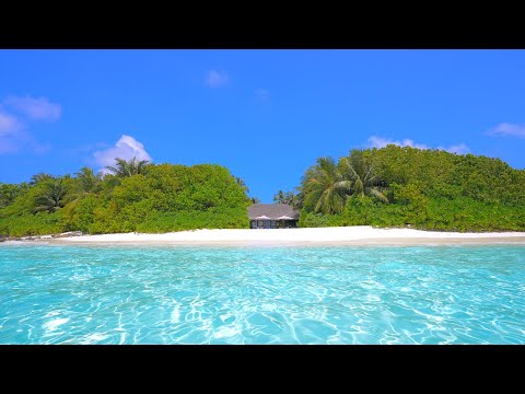 Maldives Hidden Island Retreat 🏝Turquoise waters of the ocean 4K Ultra HD