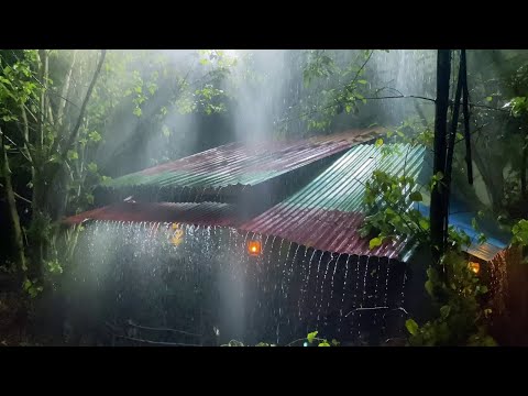 music for sleeping - rain sound for sleeping - relaxing music - 99% sleep in 10 minutes