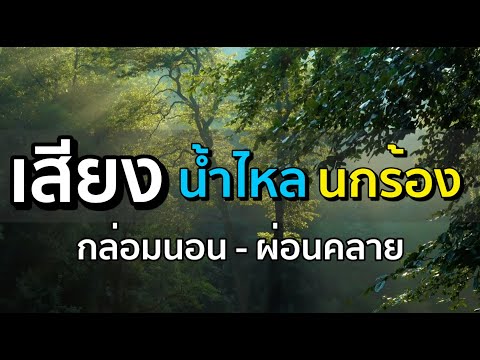 เสียงน้ำไหล l เสียงนกร้อง l เสริมสมาธิ l กล่อมนอน l หลับลึก l 4K