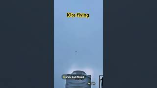 Kite flying #viralvideo #shortvideo #howtocutotherkite 🇮🇳🇮🇳🇮🇳🇮🇳🙏🙏🙏