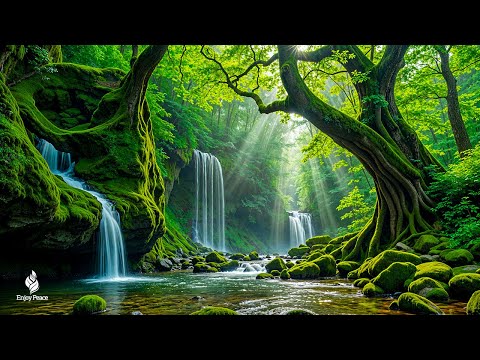 Relaxing Peaceful Piano Music 🍀 Stress Relief & Healing Melodies for Inner Peace and Relaxation