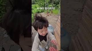 D+902 닭키우기2 #토종닭 #전원생활 #닭키우기 #시골일상