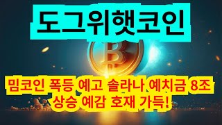 도그 위햇 밈코인 폭등 예고 솔라나 예치금 8조 상승 예감 호재 가득!