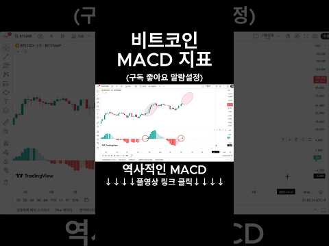 비트코인 대세상승장 MACD #비트코인 #이더리움 #엑스알피 #XRP #리플