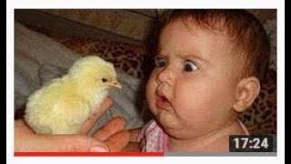 pakistan funny videos, pakistani comedy video, amezing funny video, pakistani