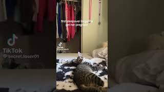 tt: secret.loser01 #tiktok #tiktokvideo