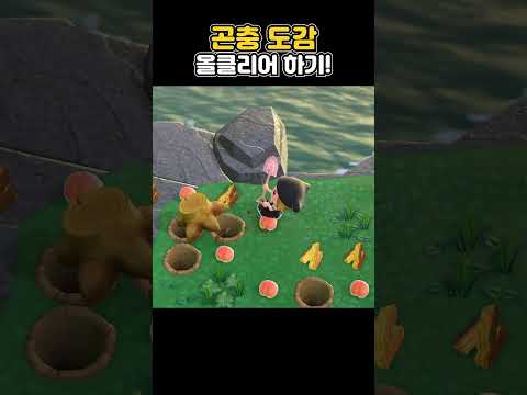 무야호! 모동숲의 모든 곤충을 잡았다!