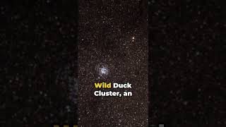 Scutum: The Shield in the Stars #crixus #space #constellations