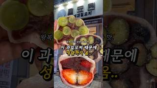 왕복 3시간 성남까지 오게만든 과일모찌
