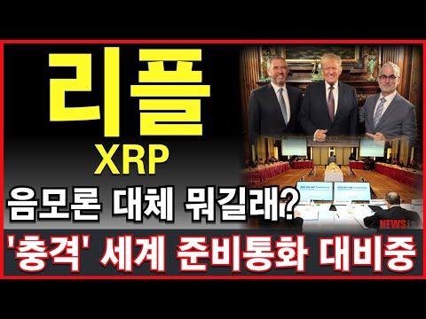[리플 전망]美, 2기 행정부 심상치 않다! '음모론' 대체 뭐길래? 2025 부자의 기준 1000XRP 보유해라! #엑스알피미 #리플_코인 #리플_전망