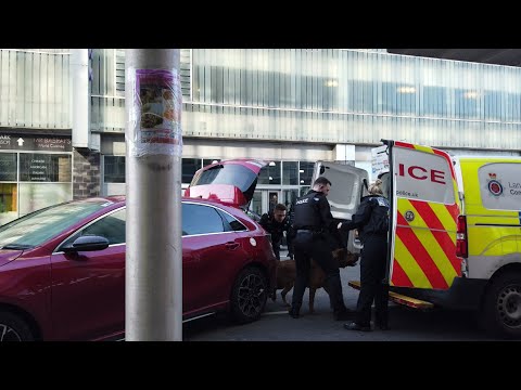 loose  dogs detained in police van as we walk around blackpool saturday afternoon