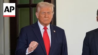 Trump considers pausing auto tariffs: 'They need a little bit of time'