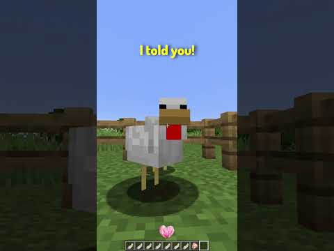 POV: You're a Chicken in Minecraft