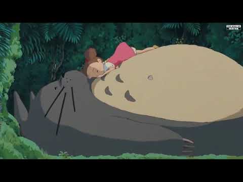 輕音樂 輕快 放鬆音樂 心靈音樂 | 禪修音樂 大自然音樂 森林音樂 | 安靜 純音樂 睡眠音樂 | 轻音乐 轻快 放松音乐 纯音乐 睡眠轻音乐