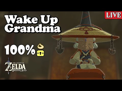 There's Lots to Do in Kakariko Village 100% Completion Walkthrough Zelda Breath of The Wild | BotW