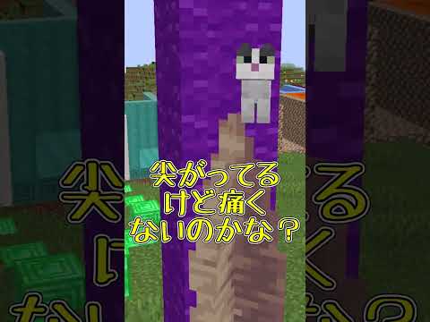【マイクラ】99.9%の人が知らないこと3選 part6【ゆっくり実況】#Shorts #マイクラ #マイクラ豆知識 #マインクラフト