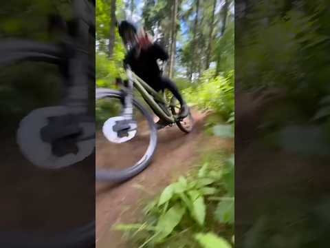 Ripping around
