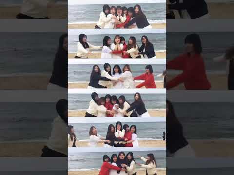 강릉🤍 #여행 #릴스 #vlog #여행브이로그 #쇼츠