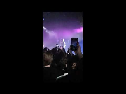 Starlight - Dave (Live Stockholm)